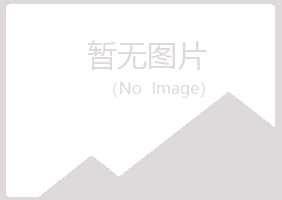 南川山柏会计有限公司